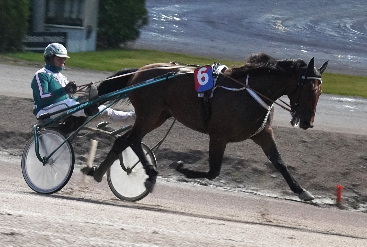 Hell Of A Guy 251022-1